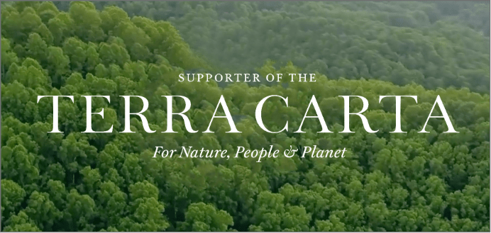 Findel is recognised as official supporter of the Terra Carta